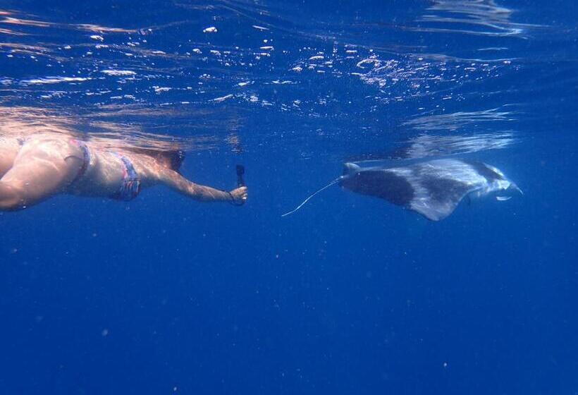 هتل Island Home Inn