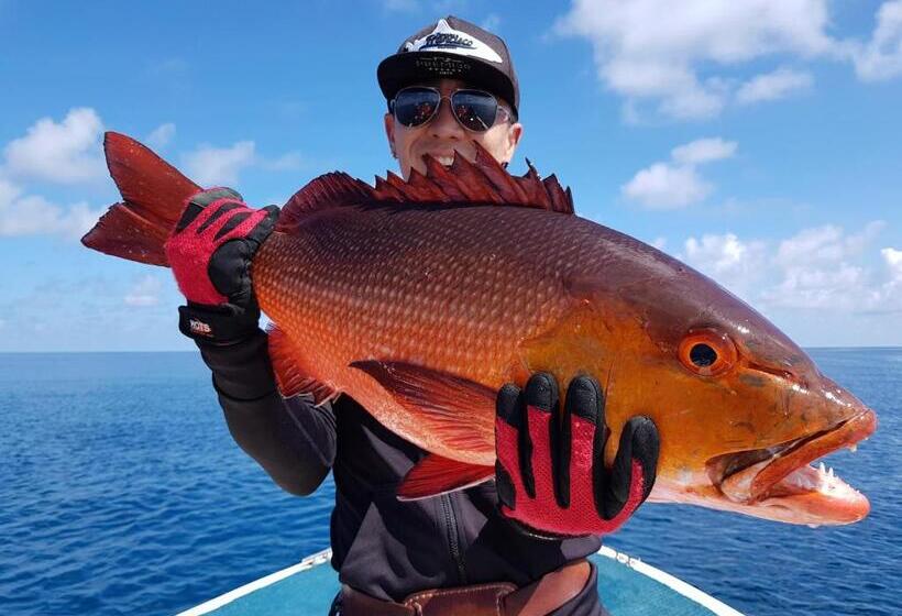 هتل Island Home Inn