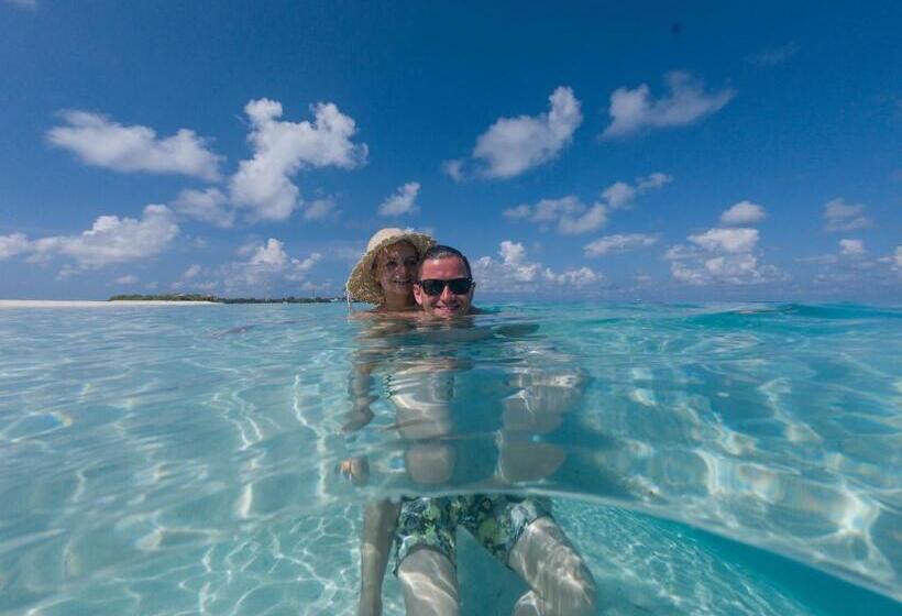 هتل Island Home Inn