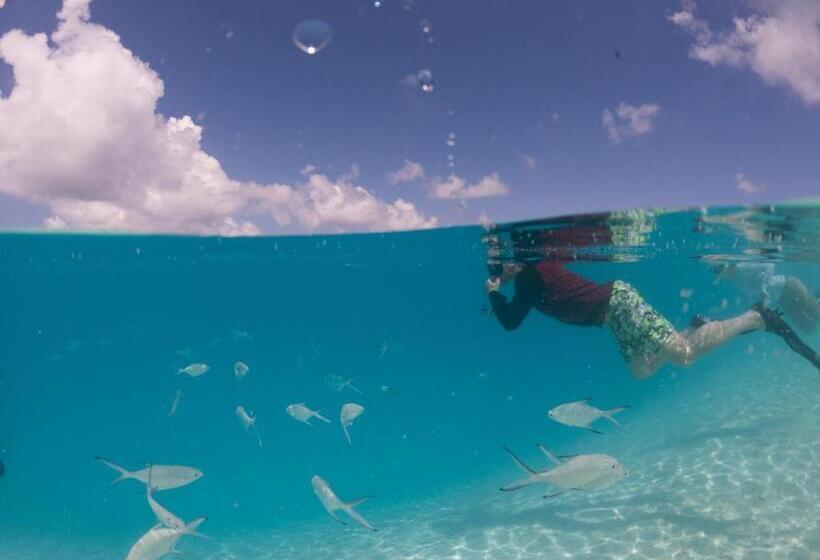 هتل Island Home Inn