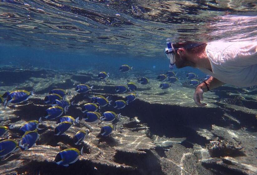 هتل Island Home Inn