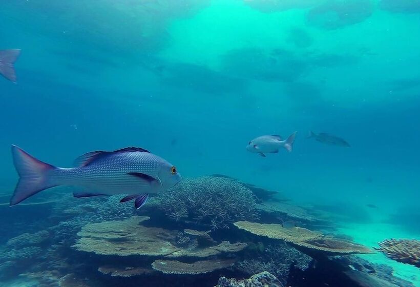 هتل Island Vista Inn