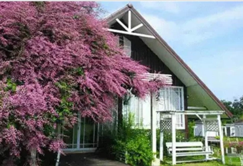 Отель Kiangmok Chalet