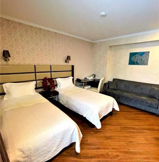 هتل King David Bakuriani