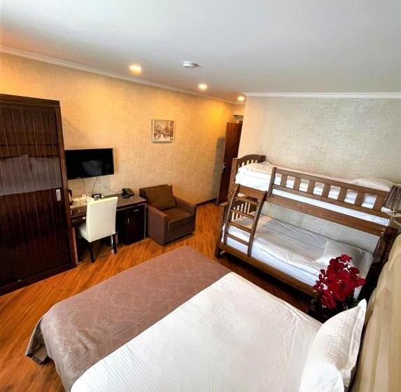 هتل King David Bakuriani