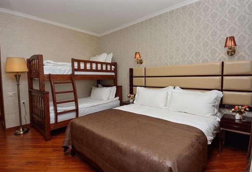 هتل King David Bakuriani