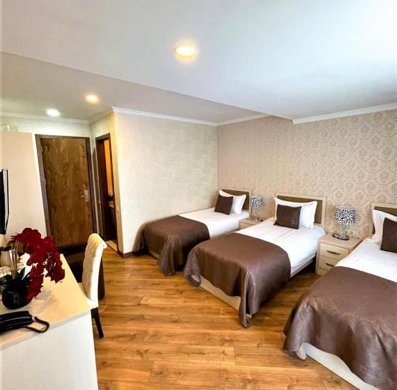 هتل King David Bakuriani