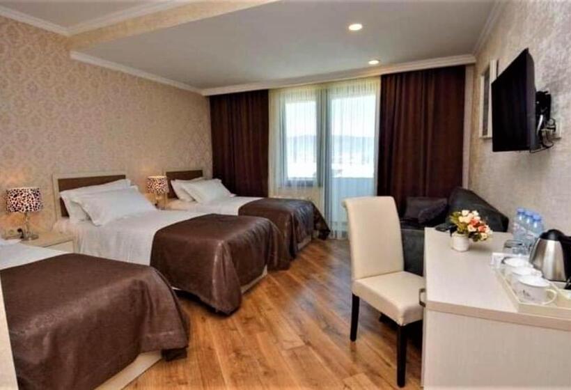 هتل King David Bakuriani