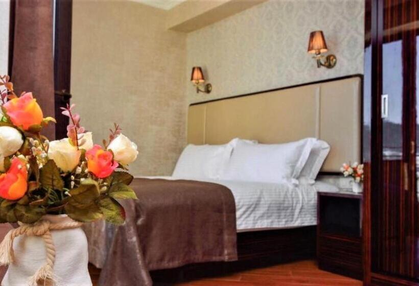 هتل King David Bakuriani