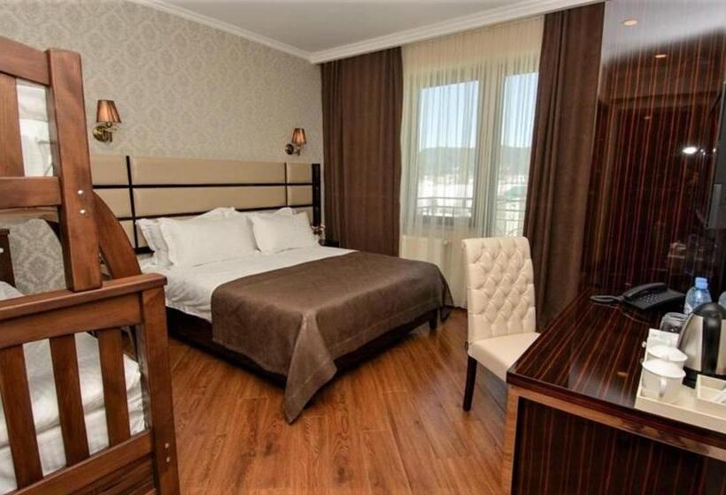 هتل King David Bakuriani