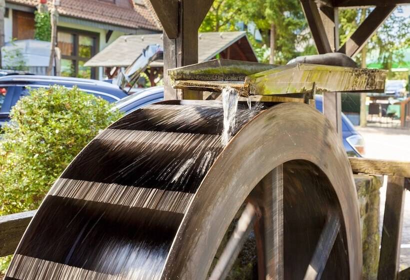 Отель Landgasthof Hessenmühle