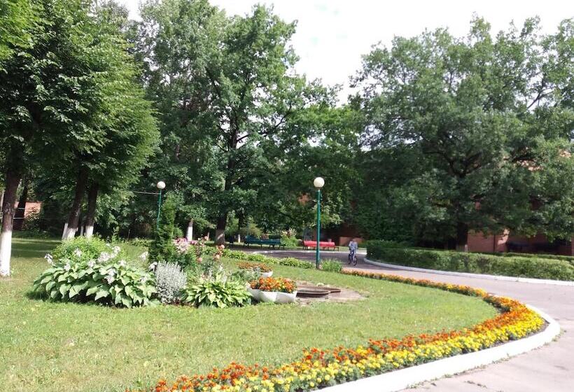 Отель Pansionat Zvenigorodskiy