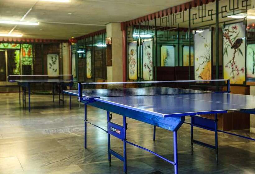 Отель Pansionat Zvenigorodskiy