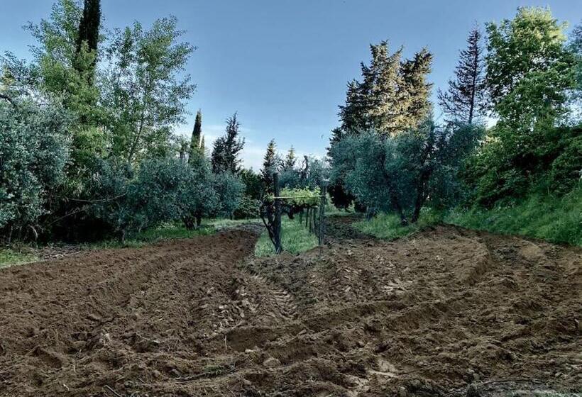 ホテル Podere San Giorgio