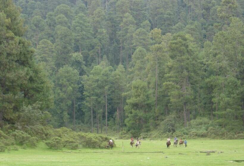 فندق Rancho Viejo