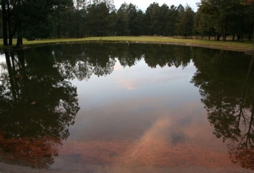 فندق Rancho Viejo