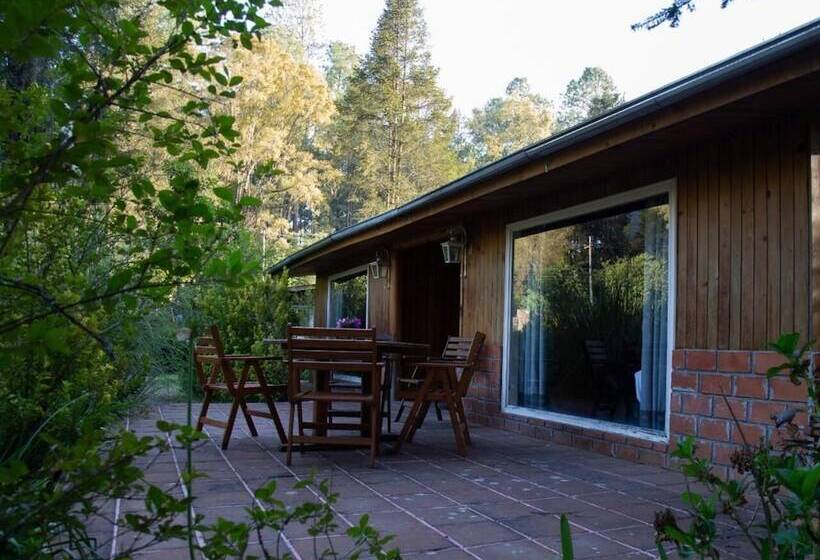 فندق Rancho Viejo