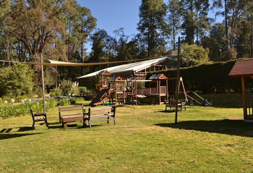 فندق Rancho Viejo