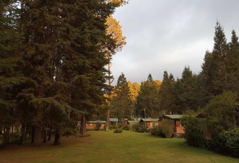 فندق Rancho Viejo