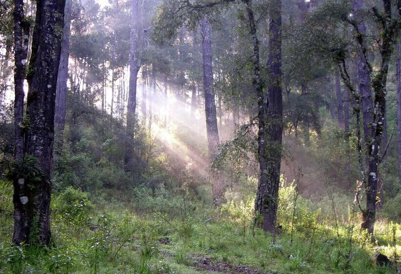 فندق Rancho Viejo