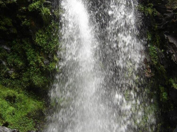 فندق Rancho Viejo