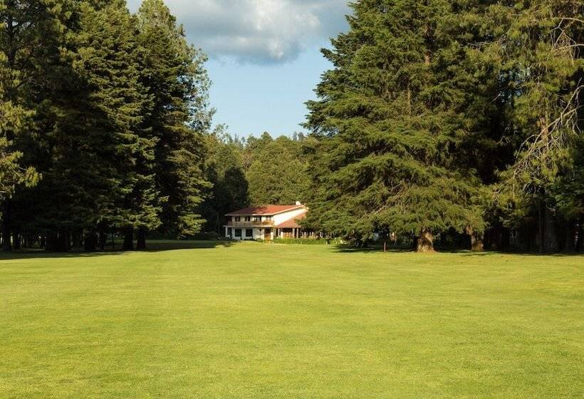 فندق Rancho Viejo