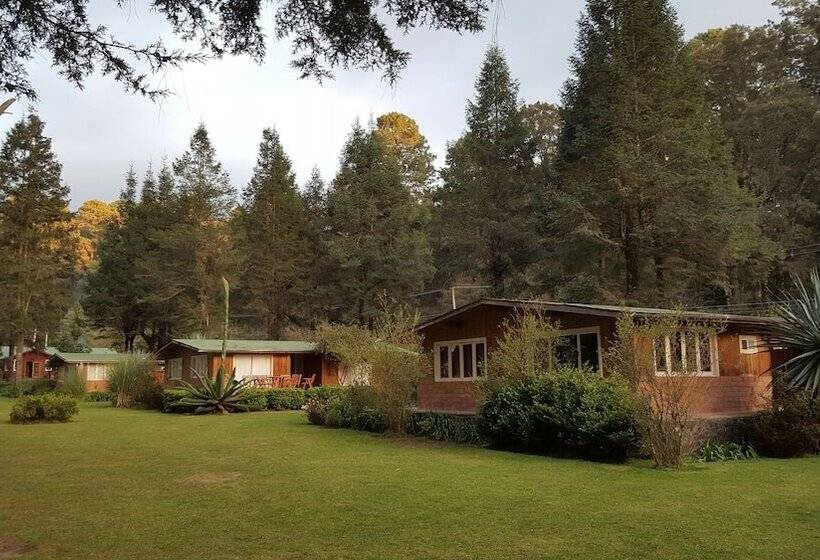 فندق Rancho Viejo