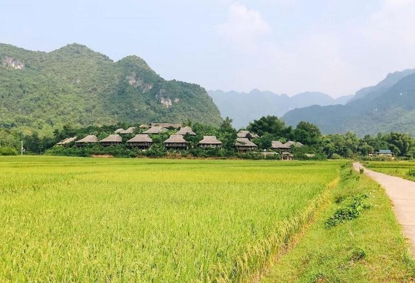 Zostay Homestay Adults Only Hostel