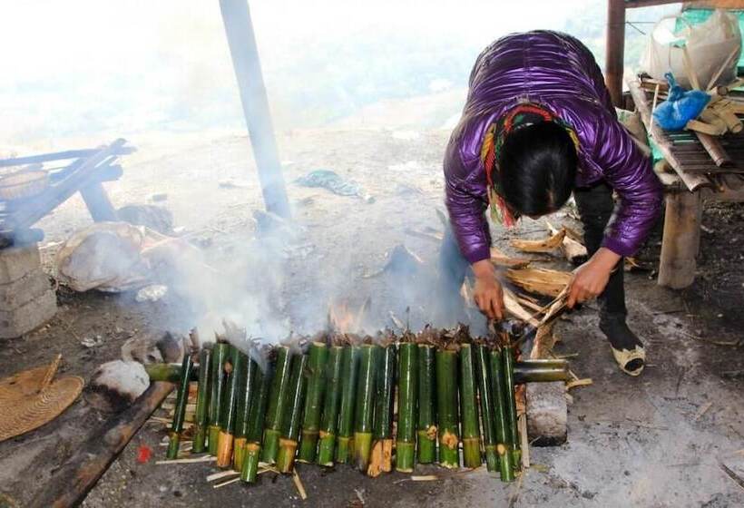 Zostay Homestay Adults Only Hostel