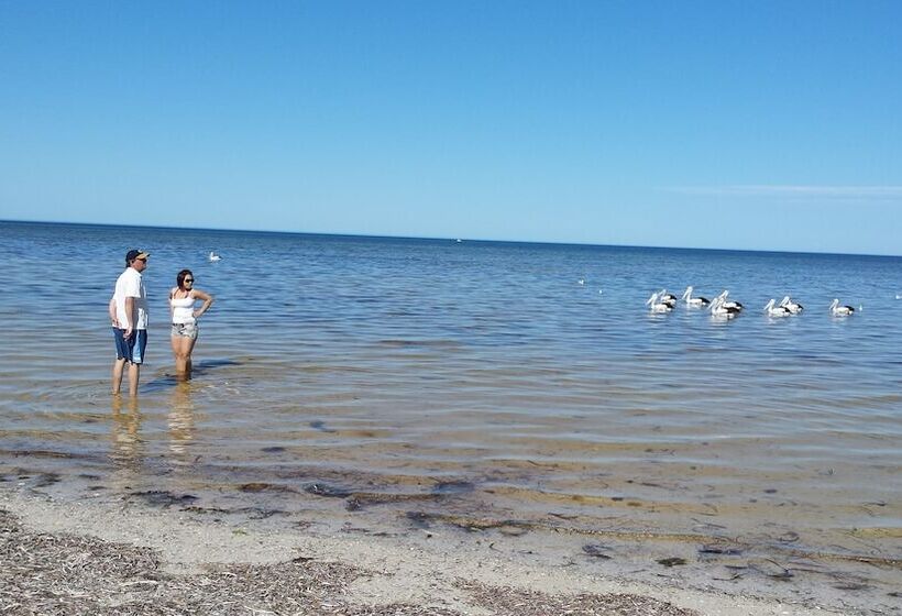 汽车旅馆  Oyster Court Apartments