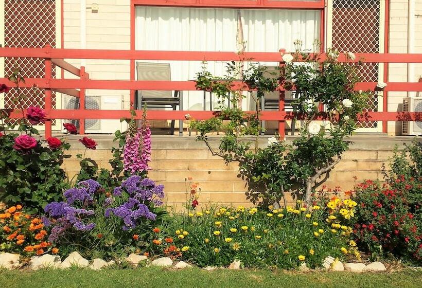 汽车旅馆  Oyster Court Apartments