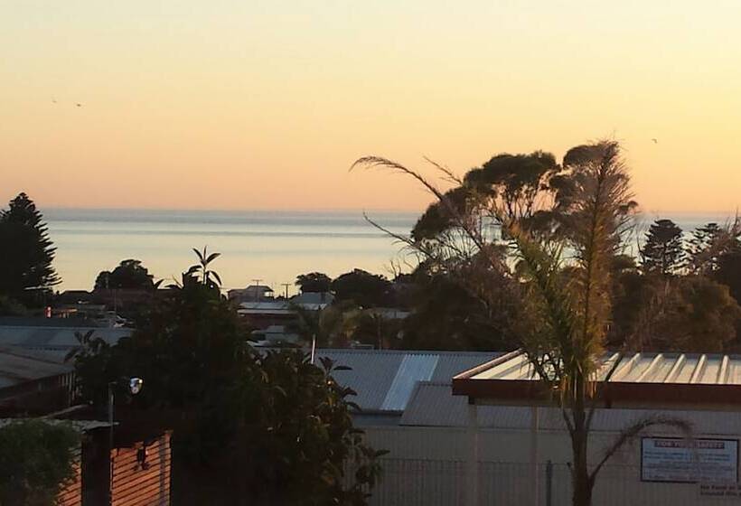 汽车旅馆  Oyster Court Apartments