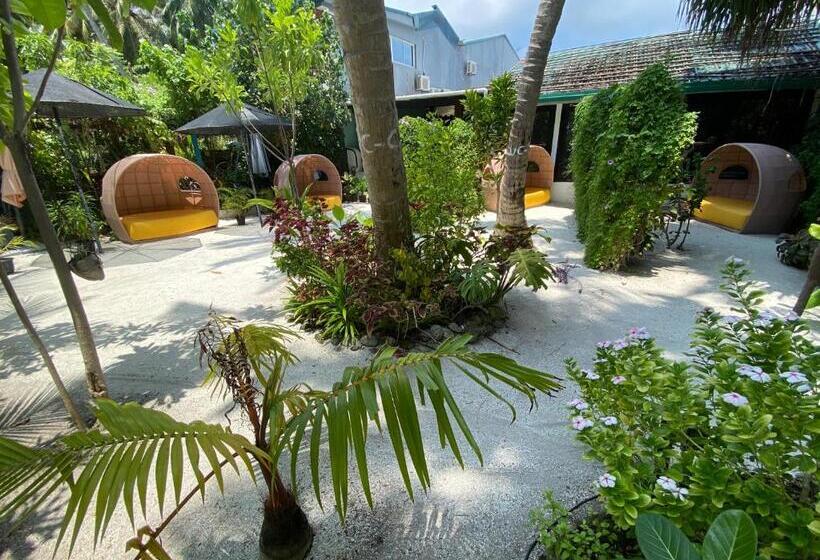 پانسیون Beach Veli