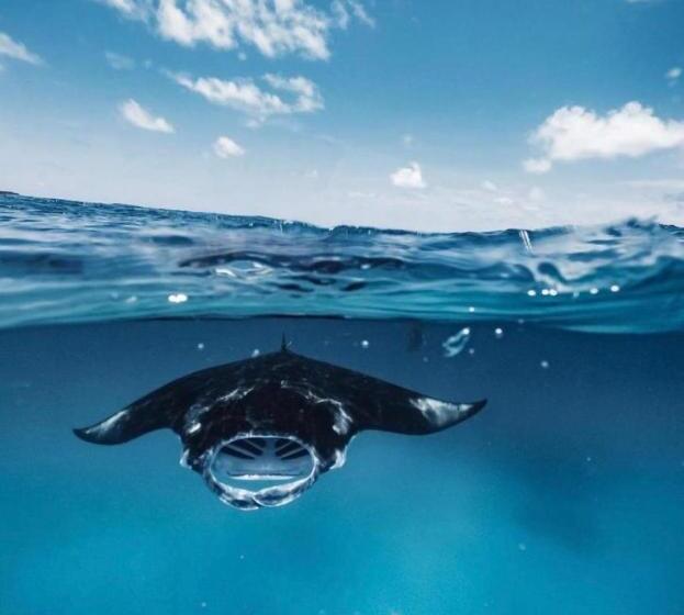 پانسیون Beach Veli