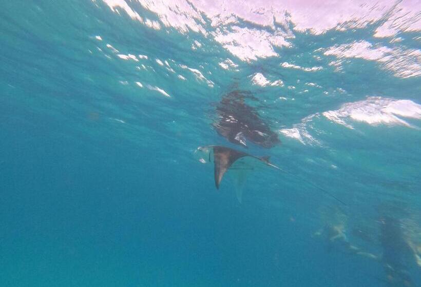 پانسیون Beach Veli