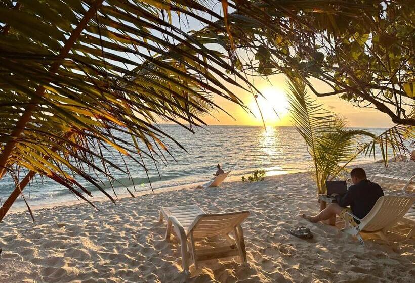 پانسیون Beach Veli