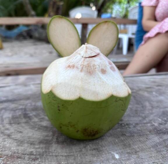 پانسیون Beach Veli