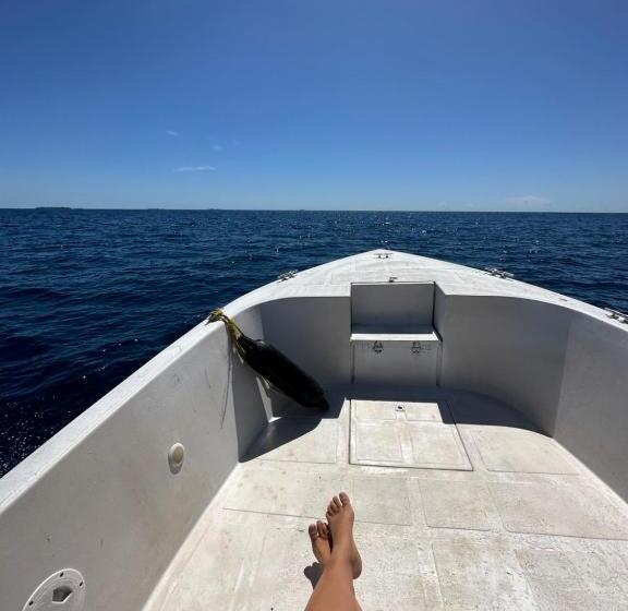 پانسیون Beach Veli