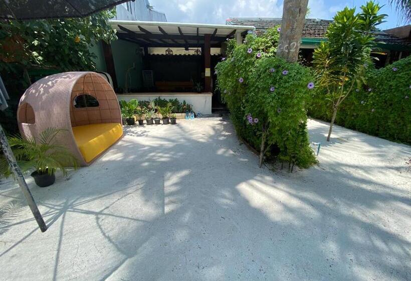 پانسیون Beach Veli