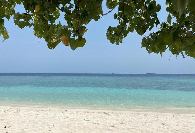 پانسیون Beach Veli