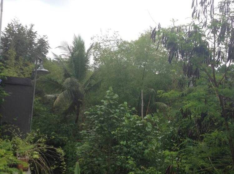 פנסיון Cebluk Sari Homestay