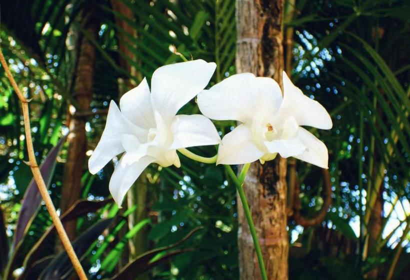 Пансион Kad Sala Lanna Cultural Homestay