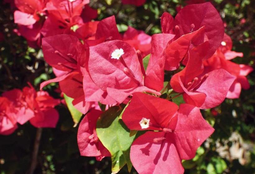 Пансион Kad Sala Lanna Cultural Homestay