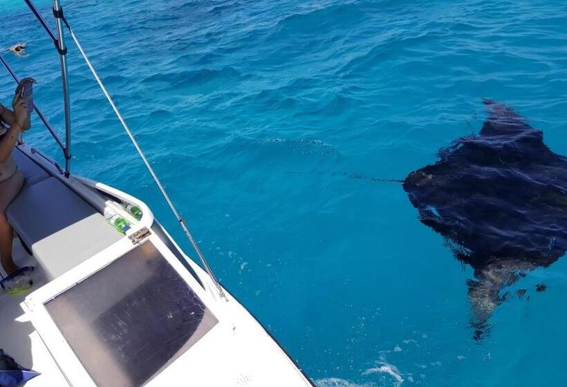 پانسیون Nala Veli Villa