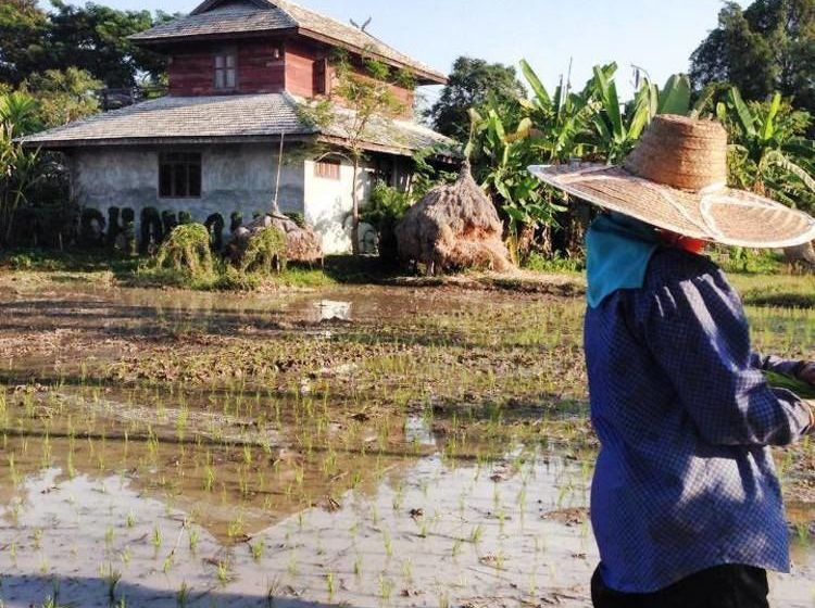 膳宿费 Oeychandha Villa