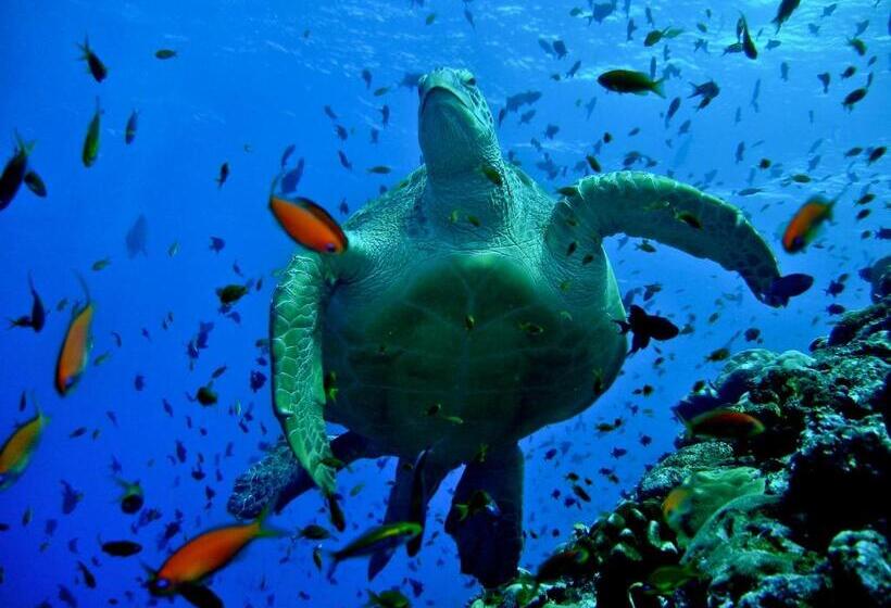 پانسیون Olhumathi View Inn