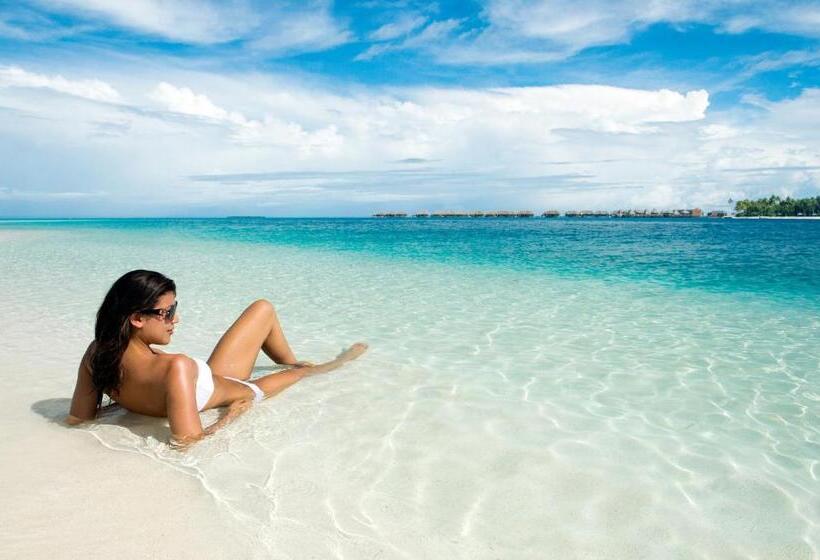 پانسیون Olhumathi View Inn