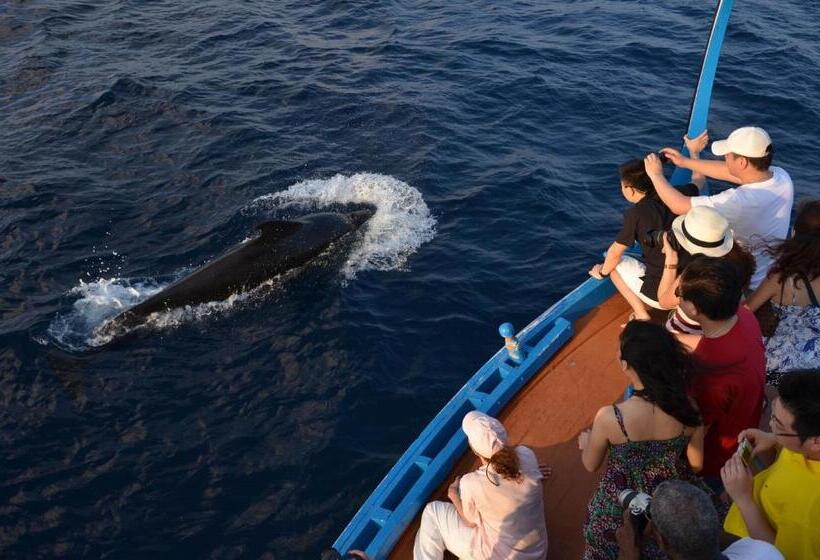 پانسیون Olhumathi View Inn