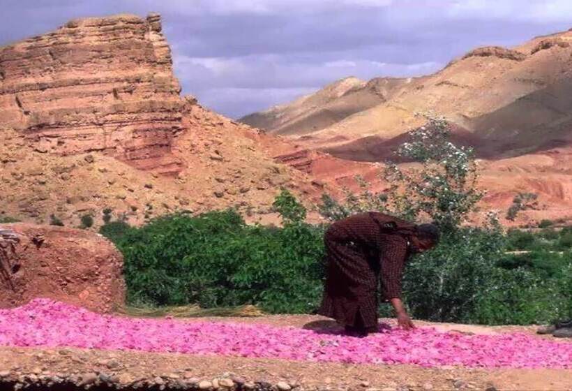 بنسيون Riad Igrane