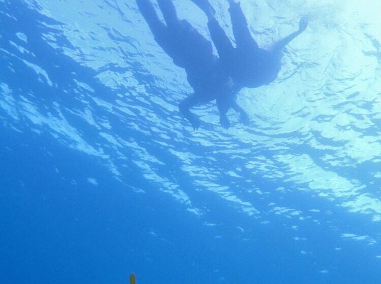 پانسیون Sealavie Inn